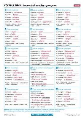300 exercices flashs de français niveau CP-CE1