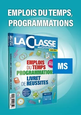 Emplois du temps et programmations MS 2020