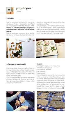 Projet pluridisciplinaire : L'arbre – Cycle 2 (CP-CE1)