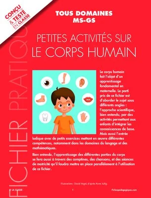 Petites activités sur le corps humain