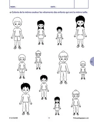 Petites activités sur le corps humain