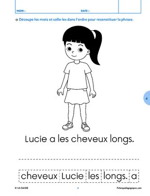 Petites activités sur le corps humain