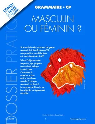 Masculin ou féminim