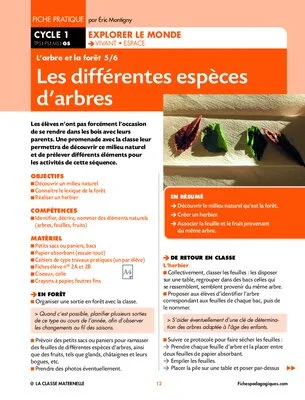L'arbre et la forêt