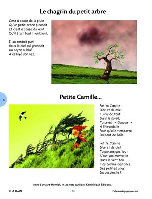 Les mots papillons