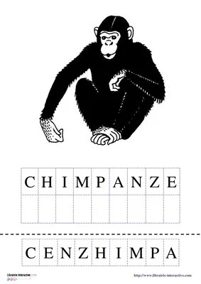 Vocabulaire - Les animaux d'Afrique