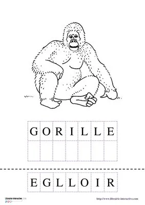 Vocabulaire - Les animaux d'Afrique