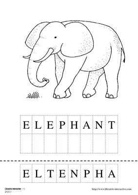 Vocabulaire - Les animaux d'Afrique