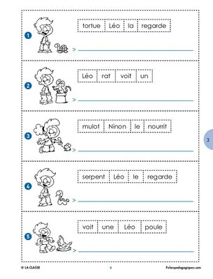 Une phrase par jour au Cycle 2