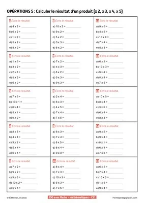 300 exercices flashs de mathématiques niveau CE1-CE2