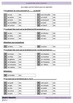 Le pluriel des noms communs