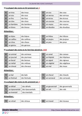 Le pluriel des noms communs