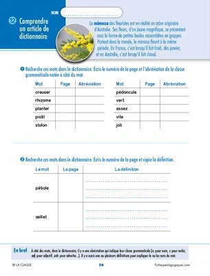Révisons l'orthographe et le vocabulaire