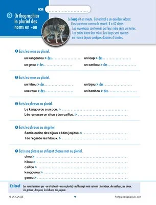 Révisons l'orthographe et le vocabulaire