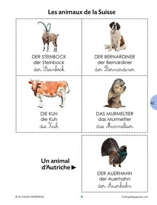 Programmation en allemand - Période 3
