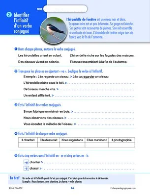 Révisons la grammaire