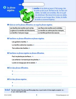 Révisons la grammaire