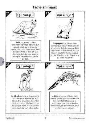 Défis calcul - Février