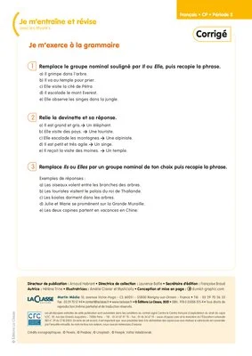 Je m'entraîne et révise avec les Mystik's - Français CP (Période 2)