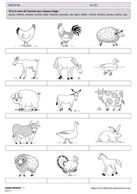 Exercice d'écriture CP-CE1 : Les animaux de la ferme