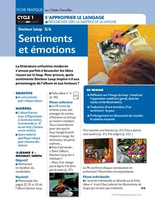 Docteur Loup Sentiments et émotions