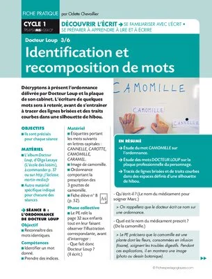 Docteur Loup Identification et recomposition de mots
