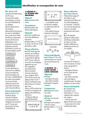 Docteur Loup Identification et recomposition de mots