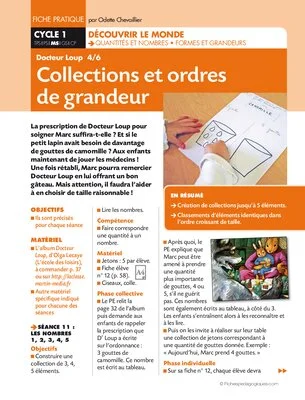 Docteur Loup Collections et ordres de grandeur