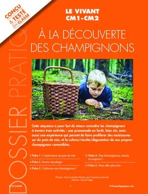 À la découverte des champignons