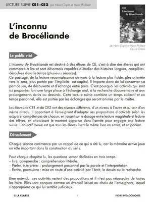 L'inconnu de Brocéliande