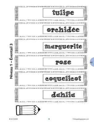 Éventails ordre alphabétique