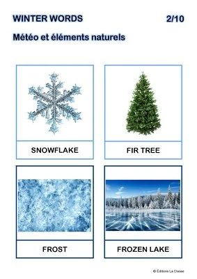 Winter words - 35 flashcards