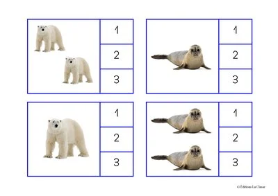 Cartes à compter - Animaux du froid