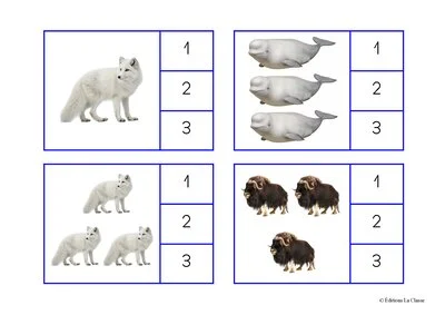 Cartes à compter - Animaux du froid