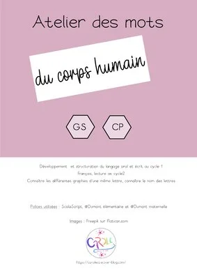 Atelier des mots du corps humain