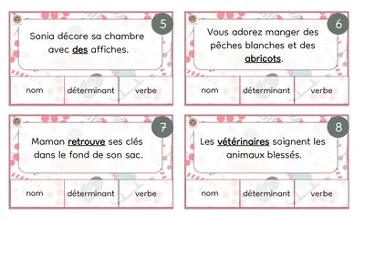 Cartes à pinces - Nature des mots