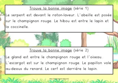 La forêt - Activités de compréhension de textes