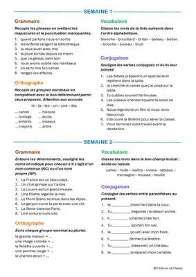 Banque d'exercices de français CE1 – Révisions de fin d'année