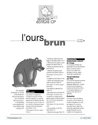 L'ours brun