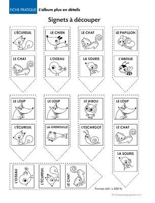 Le petit chaperon rouge. L'album plus en détails