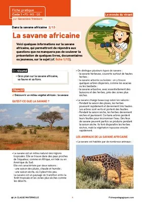 Dans la savane africaine