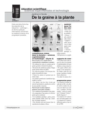 Jardiner (1) / De la graine à la plante