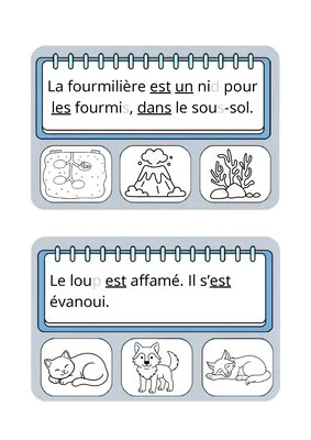 Livret d'activités de lecture CP - Décodage de phrases courtes (Période 2)
