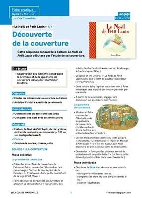« Le Noël de Petit Lapin » : activités de langage en MS-GS