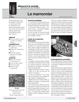 Le marronnier