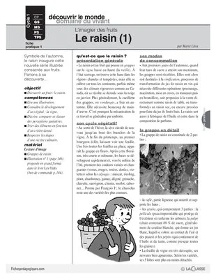 L'imagier des fruits : Le raisin (1)