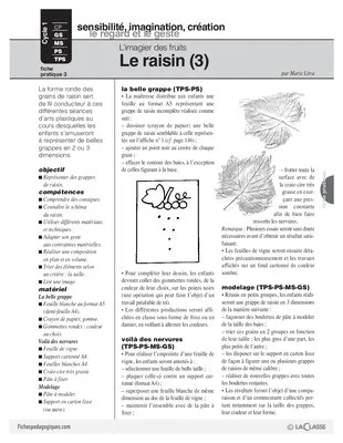 L'imagier des fruits : Le raisin (3)