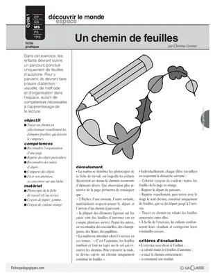 Un chemin de feuilles