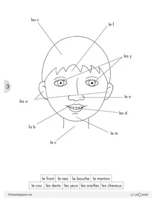 Le visage