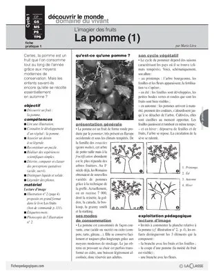 L'imagier des fruits : La pomme (1)